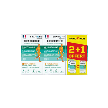 Granions CHONDROSTÉO+ Articulations Confort et Mobilité - 270 Comprimés